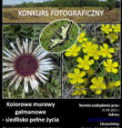 Konkurs Fotograficzny!
